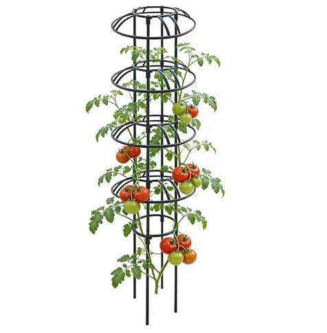 Trepador para plantas de interior | Resistente a la Herrumbre y de Gran Resistencia,Enrejado Obelisco para Plantas - para Interiores, Exteriores, Invernaderos, Jazmines, Frutas, Verduras y Enredaderas
