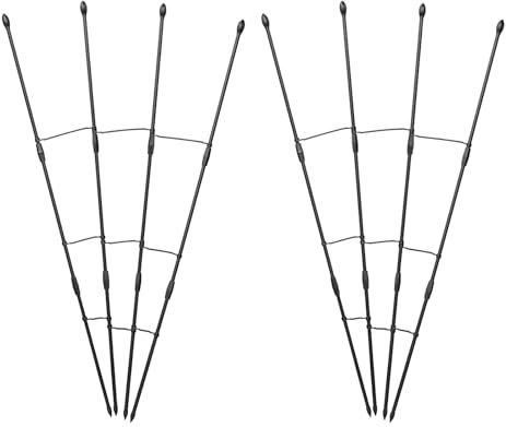 Enrejado de abanico, enrejado para macetas, 2 piezas de soporte para plantas trepadoras en maceta, jaula de flores resistente a la intemperie, soporte vertical de jardín para patio, balcón, viñedo