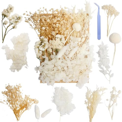 Real Dried Flowers for Resin, Natural Pressed Flowers(White) | Natural mixed dried flower pack with tweezers for DIY resin crafts, jewelry & candles.
