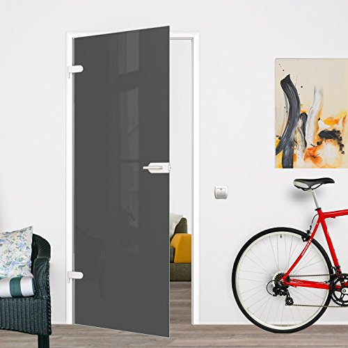 AMOD BV-834G-WCE: Glasdrehtür, VSG Glas 834x1972x8mm, Hochglanz grau, mit Beschlag inkl. Schlosskasten WC einwärts