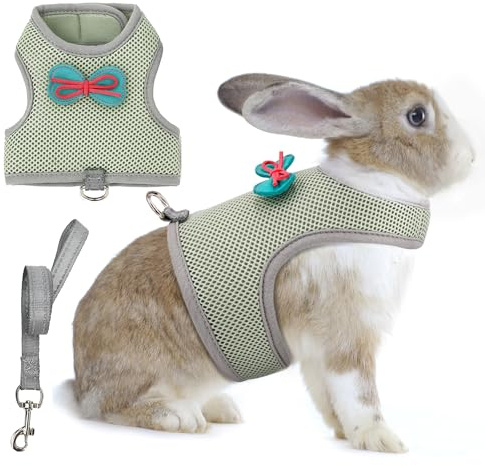 AIITLE Ensemble harnais et laisse pour lapin, harnais en maille douce et respirante avec joli nœud pour lapins, chatons, furets, petits cochons, chiots, fournitures de promenade vert olive, taille M