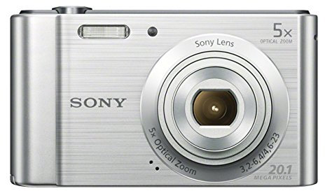 Sony DSCW800 Digital Compact Camera (20.1 MP, 5x Optical Zoom) - Silver (Renewed)