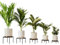 Bamworld 5-Pack Metal Plant Stands Indoor Outdoor, Heavy Duty Flower Pot Stands for Multiple Plants, Anti-Rust Iron Plant Rack for Patio Garden Balcony Living Room Bedroom