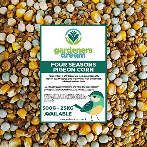 GardenersDream Four Seasons Pigeon Corn | Premium Grade Natural Food Mix | Rich in Nutritious Oils, Vitamins and Minerals | Perfect Year-Round Wild Bird Seed Feed | High in Energy & Protein (5kg)