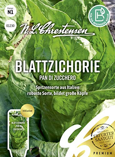 N.L.Chrestensen Blattzichorie Pan di zucchero CICHORIUM INTYBUS