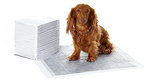 Amazon Basics Trainingspads für Hunde und Welpen mit Kohlenstoff zur Geruchskontrolle, auslaufsicheres Design mit schnell trocknender Oberfläche, Normal (40 Stück), Grau