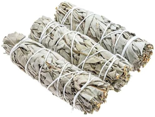 Lot de 3 Bâtons de Sauge Blanche de Californie (Apiana) 10 cm – Purification Énergétique & Protection – Encens Naturel Premium