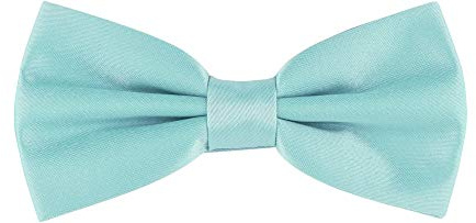 Ladeheid Barn Pojkar Fluga MJ (10cm x 5cm, Mynta)