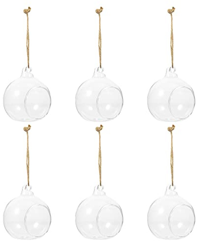 Zerodeko Hängende Glasvasen 6Er Set Hydroponische Pflanzenbehälter Mini Kugelvasen Transparent Zum Aufhängen Für DIY Mikrolandschaft Wohn- Und Bürodeko