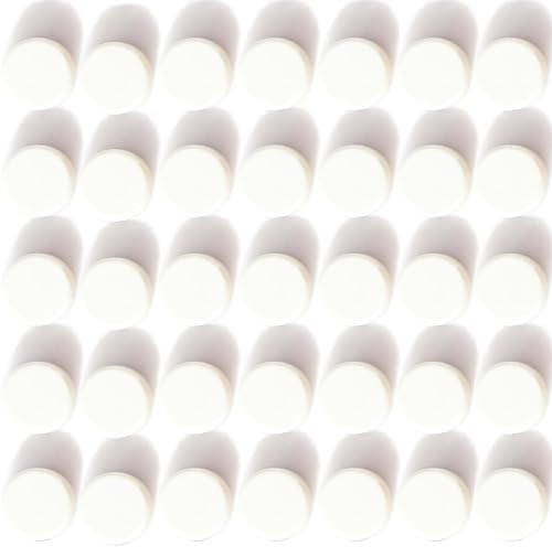 ZDZBLX Calamite Potenti per Frigo - 40 Pezzi Magneti Piccoli Rotondi per Lavagna Magnetica - Calamite Mini (Bianco)