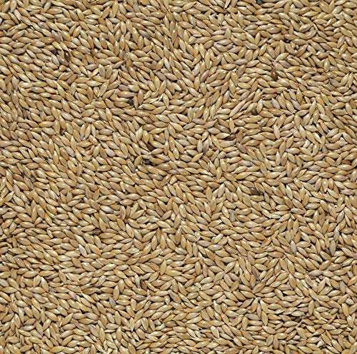 Il Contadino Scagliola Qualitã Superiore - 5 Kg