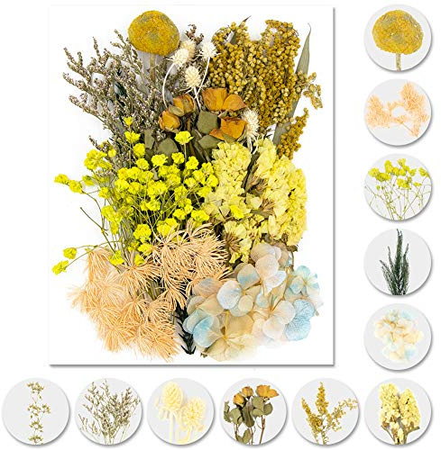 iDattel naturliga torkade blommor i blandningar, gör-det-själv, set för konst/hantverk, harts, scrapbooking, göra kort (gula)