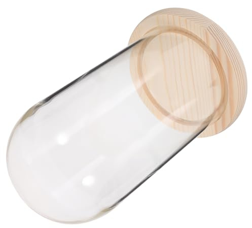 DOITOOL Campana in Vetro Trasparente con Base in Naturale Cloche per e Decorazioni da Tavolo Elegante Copertura Protettiva per Oggetti Decorativi e Regali per Casa e Ufficio
