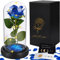 JOTOLa Bella e La Bestia Rose,La Bella e La Bestia Rosa Eterna,Kit di Rose,Rosa Stabilizzata,Cupola di Vetro con Base Rimovibile Pino Luci LED,Regali per Donne,San Valentino,Anniversario