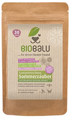 Biobalu Sommarmagi – färgglada blomängsfrön – över 40 sommarblommor för klippning och plockning, sommarblomblandning, snittblommor frön, blomsteräng fleråriga och bivänliga, blomfrön 30 g