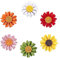 YANJIY 6 Stück Emaille Anstecknadel, Brosche Damen Blume, Brosche Blume Klein, Pin Brosche, Brosche Emaille, Geschenk Brosche Pins, Daisy Blumen Deko, für Kleidung, Seidenschals, Kleider