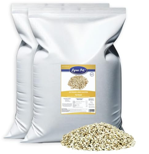 Lyra Pet® 20 kg graines de carthame, complément pour Oiseaux Sauvages | Riche en graisses & huiles | Aliment riche en glucides | Nutriments été & hiver | Complément pour mélanges