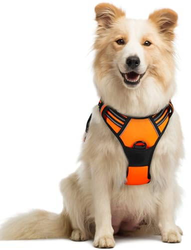 rabbitgoo Pettorina Cane Taglia Media, Pettorina Cane ad h Regolabile con 2 Ganci in Metallo, Imbracatura per Cani Anti Tiro Riflettente, Imbracatura Traspirante per Addestramento Corsa, Arancio, M