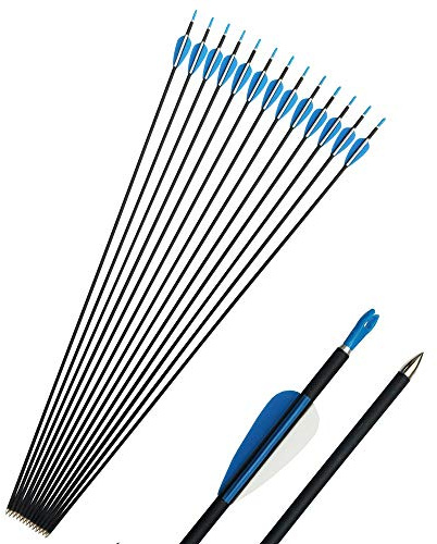 SHARROW 12 pièces Flèches de Carbone 32 Flèches pour Débutant Pratique 1000 Spine 1200 Flèches de Sport avec Carquois Flèche pour Arc à Poulies et Arc Classique(Spine 1000)