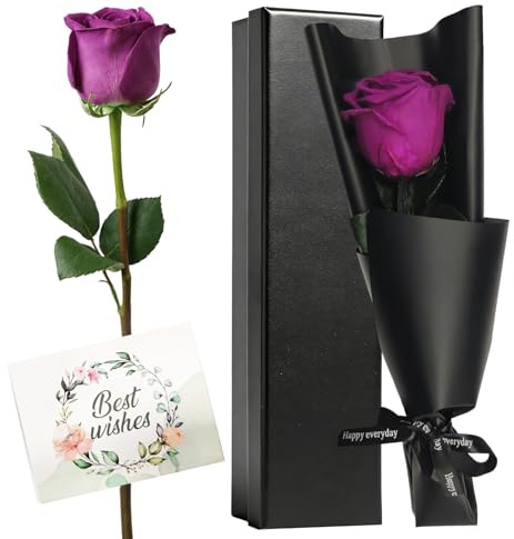 HIVTE Rosa Eterna Morada Natural con Tallo en Caja de Regalo - Rosa Real Preservada, Regalos para Mujer, Mamá, Novia San Valentín, Cumpleaños y Aniversario