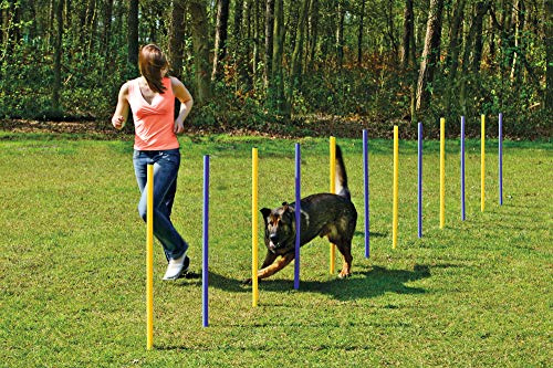 Karlie 31855 Agility Slalom gul-blå
