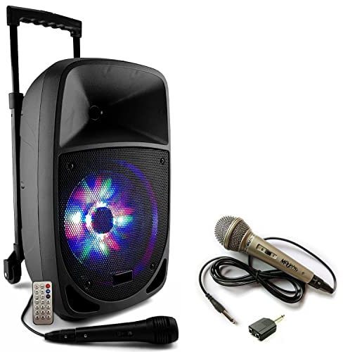 Party Light & Sound - Altoparlante autonomo Karaoke con batteria 300 W Bluetooth PARTY-8 LED 2 microfoni cablati - Sintonizzatore - Festa Serata Compleanno