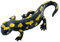 Bullyland 68493 - Serpenti/Anfibi - Salamandra Maculata