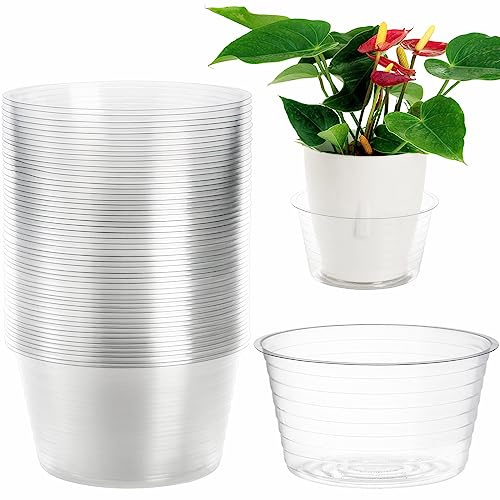 Tebery 50 Pack 6 Inch Clear Plastic Plant Saucer, 15cm Plastic Plant Drip Tray, Deep Flower Pot Saucers Water Catcher Tray Watering Trays for Plants Indoors and Outdoor