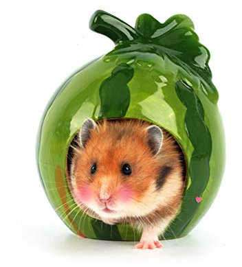 LaMure Keramisk hamsterhus tecknad söt fruktform hamstergrotta sommar sval vinter håller värmen små djur bo livsmiljö (vattenmelon)