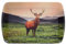 Highland Stag Melamine Small Rectangular Serving Tray Snack Platter Lightweight