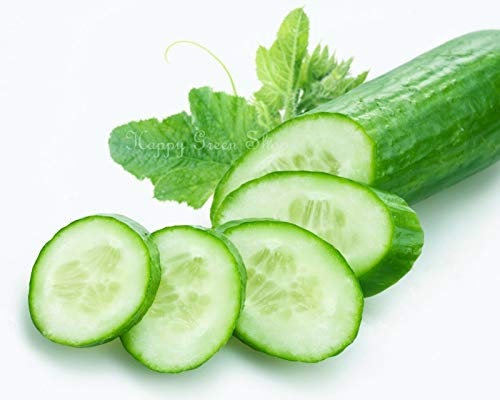 Cucumber King of Salad - 80 Seeds + Freebie + Plant Tag - Cucumis sativus, Green
