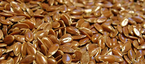 Portal Cool 60G semi Fertilizzanti Verde Lino Linum comune Usitatissimum Blue Flower