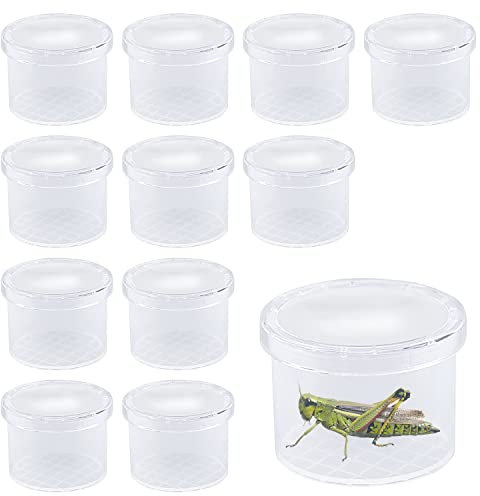 ZDNT 12 Stück Becherlupen für Kinder Insektenfang Set Insektenbeobachter Becherlupe Lupendose Insect Viewer Outdoor Spielzeug für Kinder Wissenschaft Biologie Naturerkundung