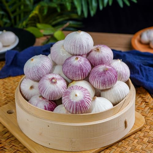4 pcs steckknoblauch（garlic，knoblauch） winterharte kübelpflanzen gemüsepflanzen gemüse balkon gemüse knoblauch pflanzen gartenpflanzen steckzwiebeln pflanzknoblauch knoblauchgranulat