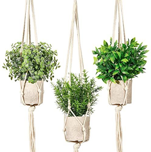 Artificial Plants 3 Pack Mini Fake Hanging with Macrame Plant Hangers Decorative Faux Greenery Decor for Shelves Wall Kitchen Farmhouse Bathroom Home Office