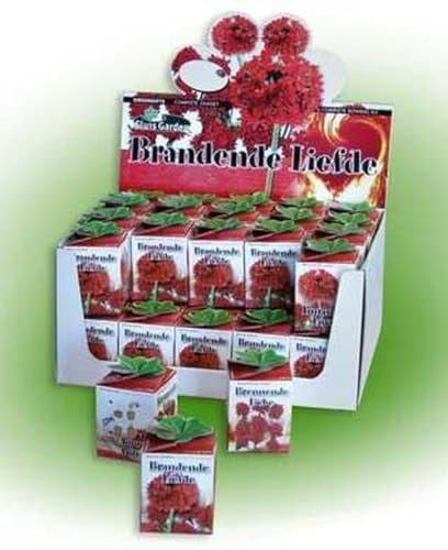 Helza Feuerblume Blumensamen - 40 Stück, Lychnis Chalcedonica, locken Bienen und Schmetterlinge an