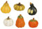Davartis - Kürbis Set aus Ton - 6er Set - Herbst Halloween Dekokürbis