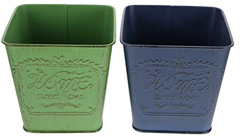 Sosoport 2 Pz Vaso Di Fiori Secchio Per Piantare Secchio Contenitore Secchio Per Fioriera Secchio Di Fiori Ornamento Del Secchio Retrò Ornamento Del Secchio Del Fiore Ferro Da Stiro