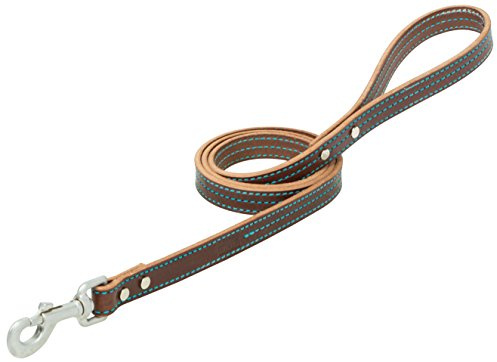 Terrain D.O.G. Bridle Leather Dog Leash