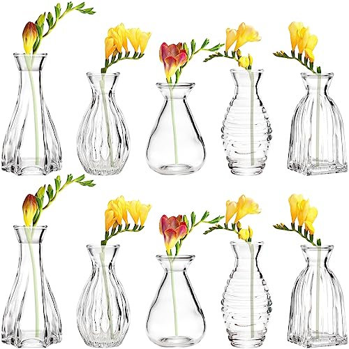 SOUJOY 10 Pack Small Glass Bud Vase, Mini Flower Vase for Centerpieces, Clear Vintage Floral Bud Vases for Home Decor, Weddings, Floral Arrangements, Events, Parties