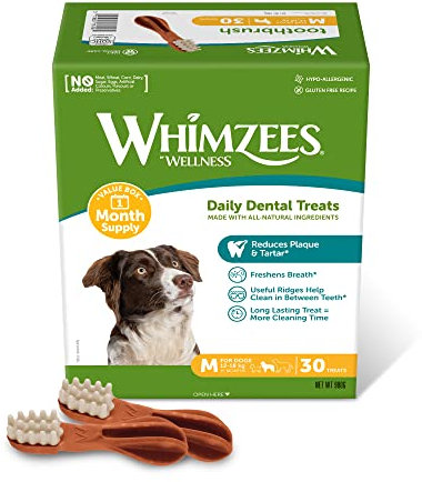 WHIMZEES Zahnbürste, Kaustangen für mittelgroße Hunde zur Zahnpflege, Größe M, 30 Stück (Monatspackung), ohne Zuckerzusatz, getreidefrei, natürlich, fettarm