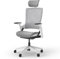 Ergotopia NextBack | Ergonomischer Bürostuhl gegen Rückenschmerzen | Schreibtischstuhl ergonomisch | Bürostuhl ergonomisch mit Kopfstütze & Armlehnen - 5 Jahre Garantie