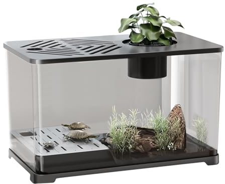 BETTA BASK FISH | Tank di pesce da scrivania del kit per acquari | Contenitore moderno con area di riposo delle tartarughe, decorazioni per la casa per gli desktop per piantagioni acquatiche