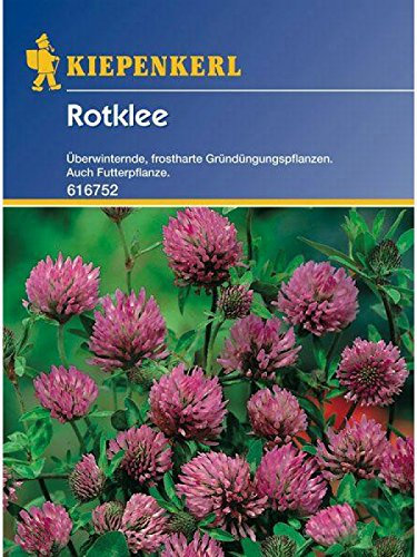 Rotklee Gründünger Portion 50g