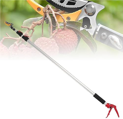 Tree Pruner,Tree loppers Long Reach Telescopic, Fruit Picker with Rotating Blade Head, Pole Saw Loppers with Lightweight Aluminum Extendable Handle for Tree Branch Cutter 5m