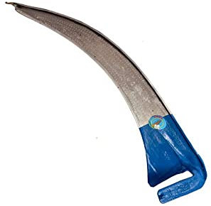 Guadaña S con barba cm.50 382 falci [falci]