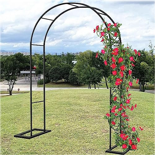 BGGNDZ Arche Jardin pour Rosiers Plantes Grimpantes, Metal Arceau à Rosiers, Arche de Rosiers Vigne Mariage, Pergola Tonnelle de Jardin, Intérieur Extérieur Décoration de Fête,350x220x40CM