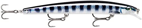 Rapala - Angelköder MaxRap - Angelzubehör Kunststoffkörper - Salzwasser-Spinnköder - Suspending - Lauftiefe: 0,3-0,9m - Größe: 15cm / 23g - Hergestellt in Estland - Baby Cuda