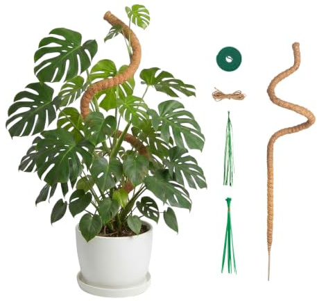 120 cm monstera växtstöd av kokosfiber, böjbart klätterstöd för inomhusväxter, flexibel kokosstav med tillbehörsset, naturlig växtstav för monstera, murgröna och klätterväxter inkl. bindande material