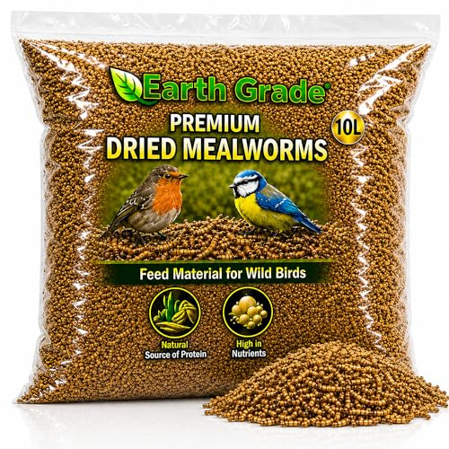 Premium Dried Mealworms 10L for Wild Birds – High Protein Natural Bird Food Treat – Mealworms for Garden Birds, Robins, Blue Tits & Blackbirds – Wild Bird Feed Refill Bag